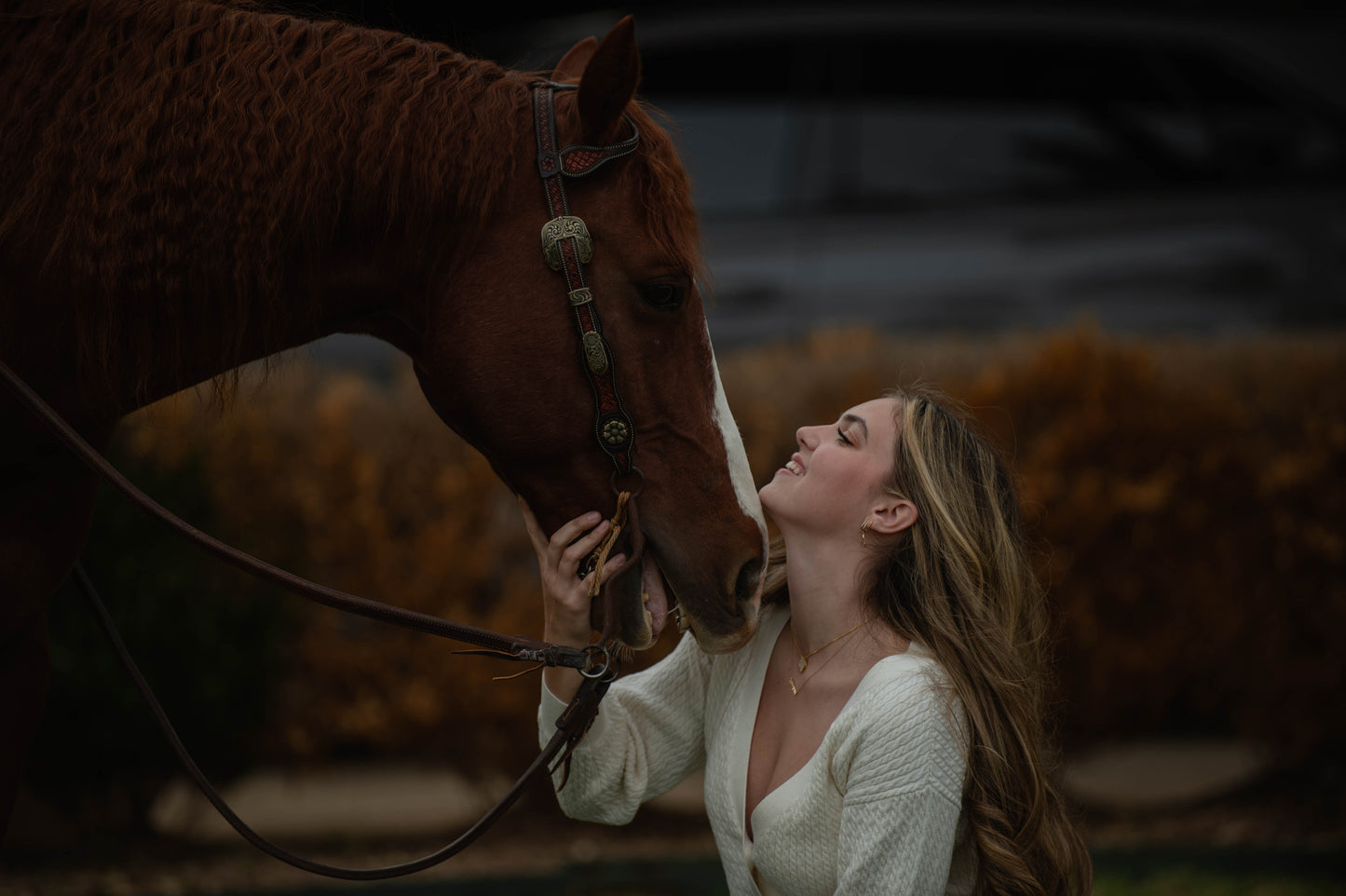 Portrait Session